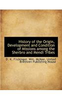 History of the Origin, Development and Condition of Missions Among the Sherbro and Mendi Tribes