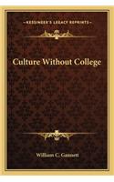 Culture Without College