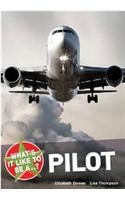 What's it Like to be a Pilot?