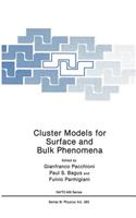 Cluster Models for Surface and Bulk Phenomena