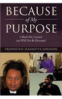 Because of My Purpose: I Shall Not, Cannot, and Will Not Be Destroyed(English)