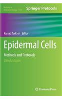 Epidermal Cells