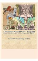 Wormhole Named Desire - Blog 2014