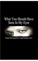 What You Should Have Seen In My Eyes