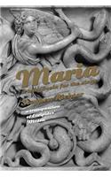 Maria a telenovela for the stage