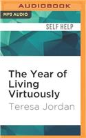 Year of Living Virtuously