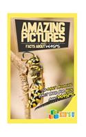 Amazing Pictures and Facts about Wasps: The Most Amazing Fact Book for Kids about Wasps