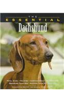 The Essential Dachshund