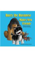 Harry the Havanese Makes New Friends