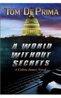 World Without Secrets