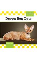 Devon Rex Cats: (Checkerboard Animal Library: Cats)