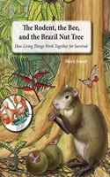 Rodent, the Bee, and the Brazil Nut Tree