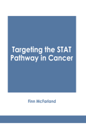 Targeting the Stat Pathway in Cancer