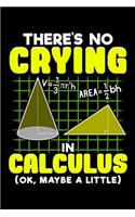 There's No Crying In Calculus (OK, Maybe A Little)