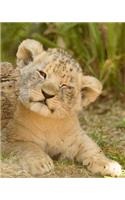 The Incredibly Cute Little Lion Cub Dot Grid Bullet Journal: 150 Page Notebook 8 X 10 Inches