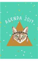 Agenda 2019: Agenda Mensual Y Semanal + Organizador I Cubierta Con Tema de Gatos Enero 2019 a Diciembre 2019 6 X 9in