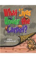 What Lives Under the Carpet?