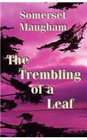 The Trembling of a Leaf