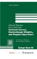 Carleson Curves, Muckenhoupt Weights, and Toeplitz Operators