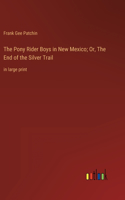 Pony Rider Boys in New Mexico; Or, The End of the Silver Trail