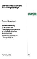 Implementierung EDV-gestuetzter Finanzplanungssysteme in mittelstaendischen Unternehmen