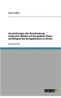 Auswirkungen der Brandrodung tropischer Wälder auf das globale Klima am Beispiel des Kongobeckens in Afrika