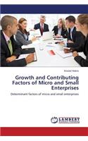 Growth and Contributing Factors of Micro and Small Enterprises