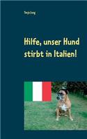 Hilfe, unser Hund stirbt in Italien!