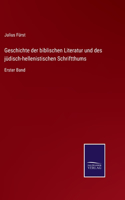 Geschichte der biblischen Literatur und des jüdisch-hellenistischen Schriftthums
