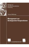 Management Von Strategischen Kooperationen