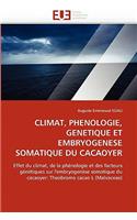 Climat, Phenologie, Genetique Et Embryogenese Somatique Du Cacaoyer