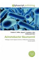Acinetobacter Baumannii