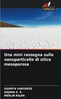 mini rassegna sulle nanoparticelle di silice mesoporosa