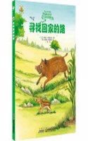 Histoires Vraies D'Animaux: Petit Sanglier Apprivoise(Chinese)