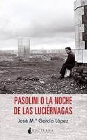 Pasolini o La noche de las luciernagas
