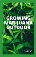Growing Marijuana Outdoor
