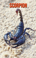 Scorpion: Fun Facts & Cool Pictures