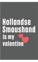 Hollandse Smoushond is my valentine: For Hollandse Smoushond Dog Fans