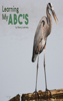 Learning My ABC's