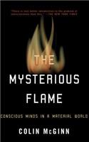 The Mysterious Flame: Conscious Minds in a Material World(English)