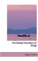 The Animal Parasites of Sheep