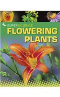 Flowering Plants