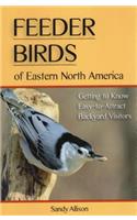 Feeder Birds of Eastern North America