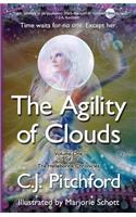 Agility of Clouds