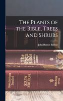 Plants of the Bible, Trees and Shrubs