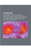 Laurales: Atherospermataceae, Calycanthaceae, Hernandiaceae, Lauraceae, Laurales Genera, Laurales of Australia, Laurales Stubs,
