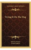Trying It on the Dog