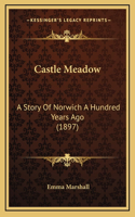 Castle Meadow: A Story Of Norwich A Hundred Years Ago (1897)