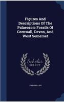 Figures And Descriptions Of The Palaeozoic Fossils Of Cornwall, Devon, And West Somerset