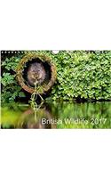 British Wildlife 2017